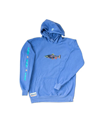 Blue hoodie with a graphic design on a Bright